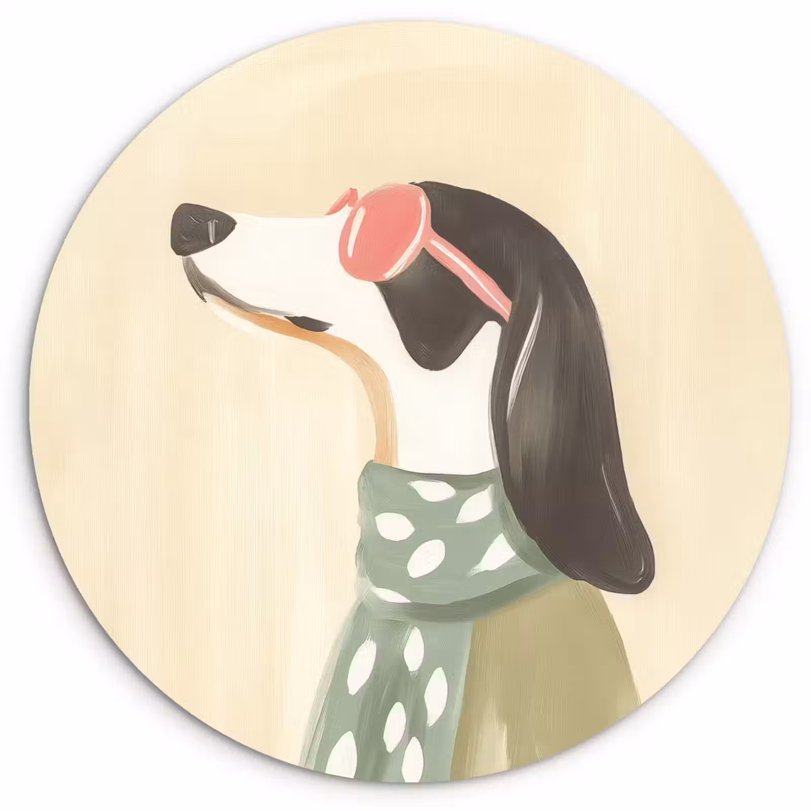 Wandcirkel - Glas - Hond - Zonnebril - Sjaal — 1