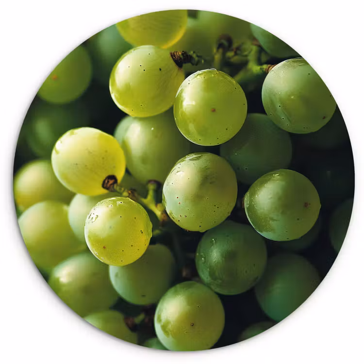 Wandcirkel - Glas - Druiven - Tros - Groen — 1