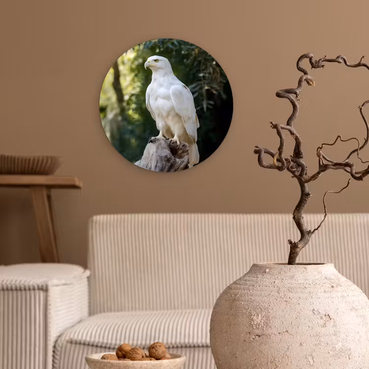Wandcirkel - Glas - Arend - Hout - Wit - Planten — 2