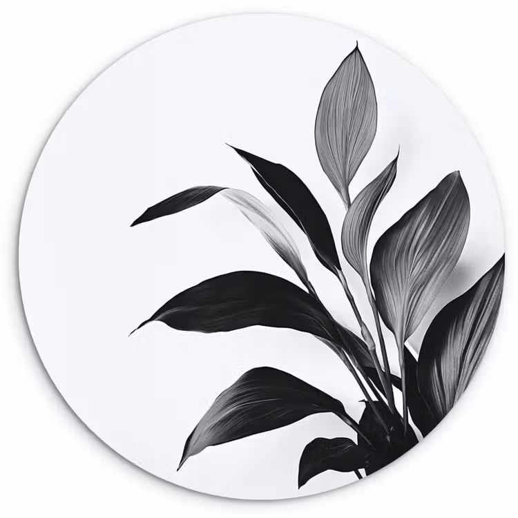 Wandcirkel - Glas - Plant - Bladeren - Minimalistisch - Zwart — 1