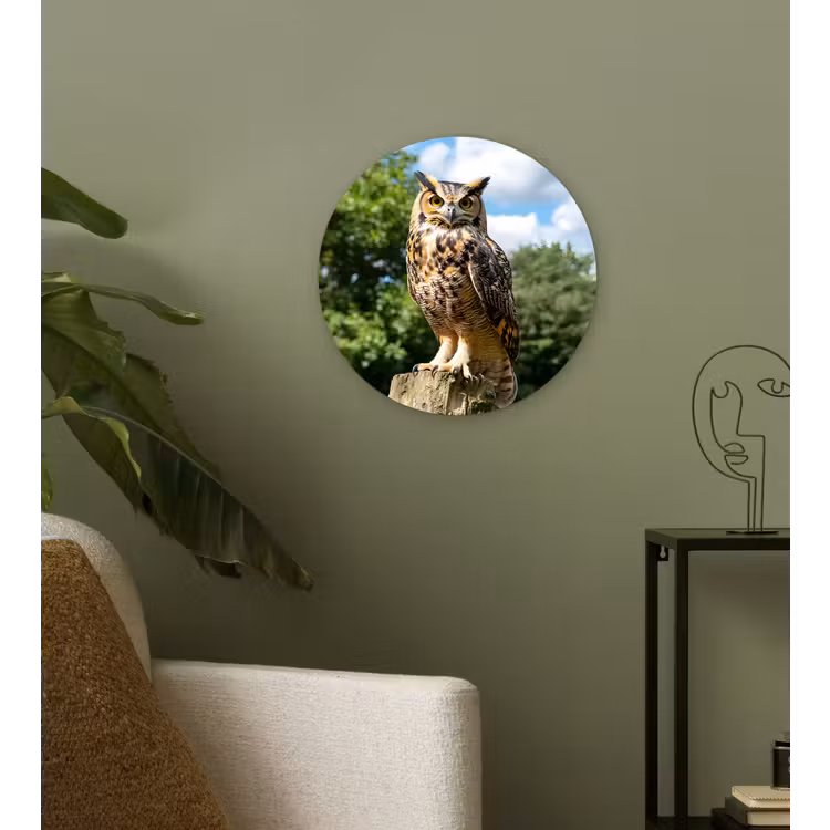 Wandcirkel - Glas - Uil - Boomstronk - Bos - Lucht — 3