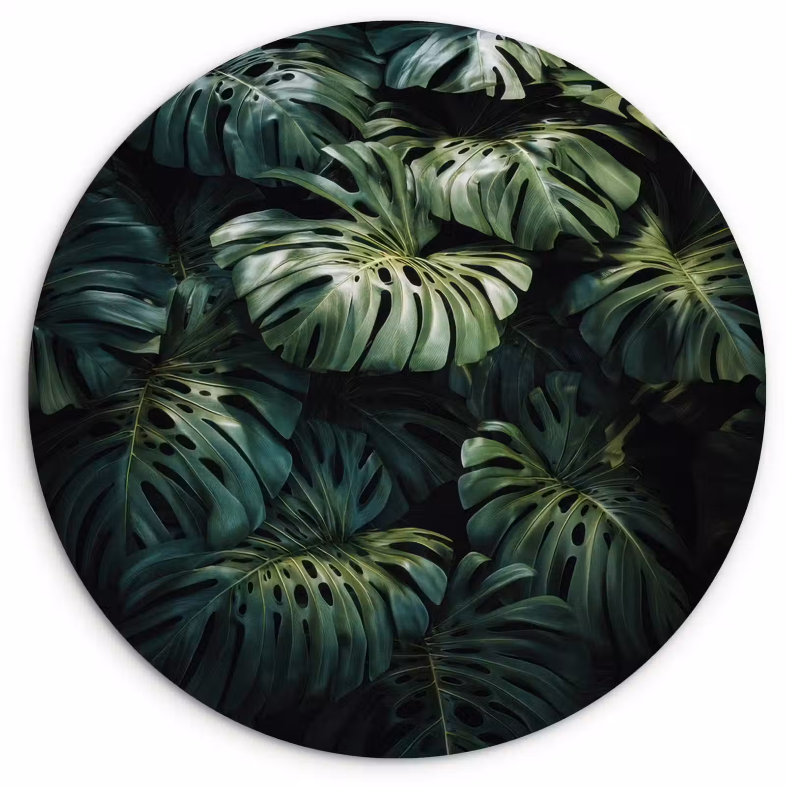Wandcirkel - Glas - Plant - Monstera - Lichtinval — 1