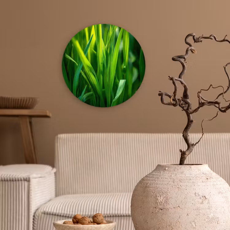 Wandcirkel - Glas - Grassprieten - Lichtinval - Groen — 2