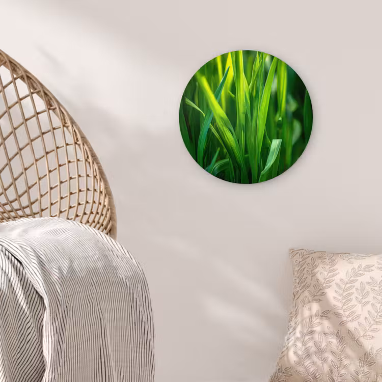Wandcirkel - Glas - Grassprieten - Lichtinval - Groen — 5