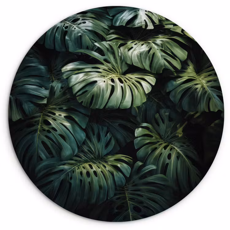 Wandcirkel - Glas - Plant - Monstera - Lichtinval — 1