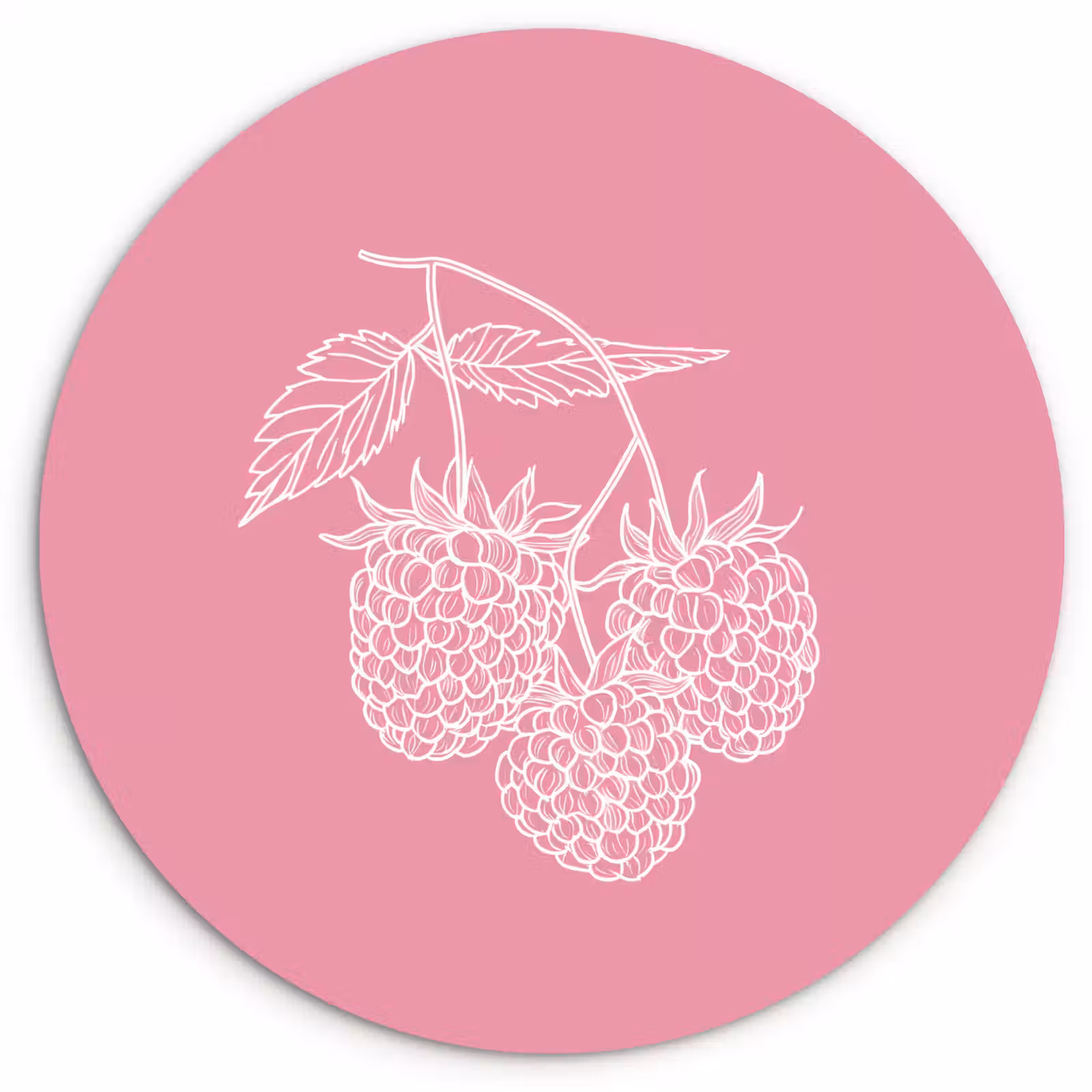 Wandcirkel - Glas - Frambozen - Steel - Getekend - Roze — 1