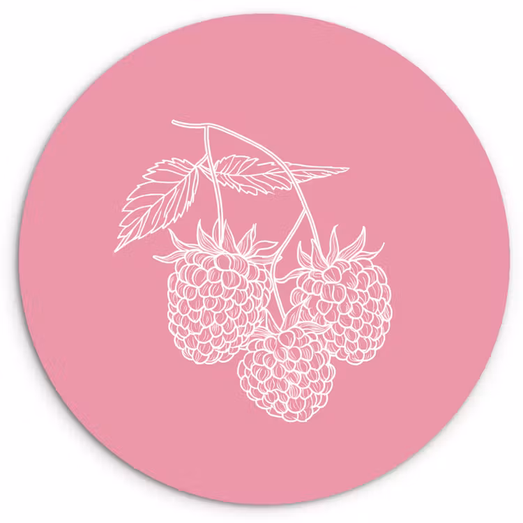 Wandcirkel - Glas - Frambozen - Steel - Getekend - Roze — 1