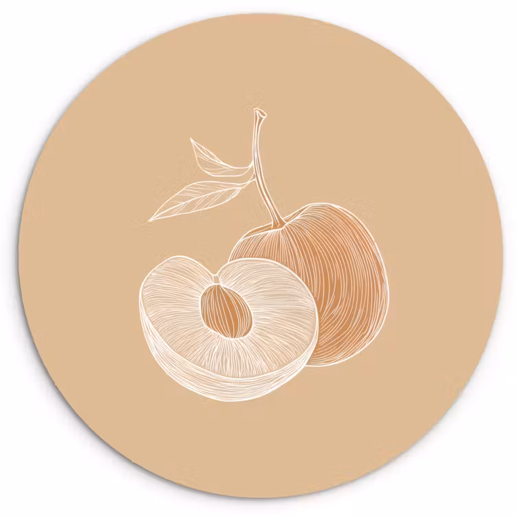 Wandcirkel - Glas - Perzik - Lijntekening - Pit - Beige — 1