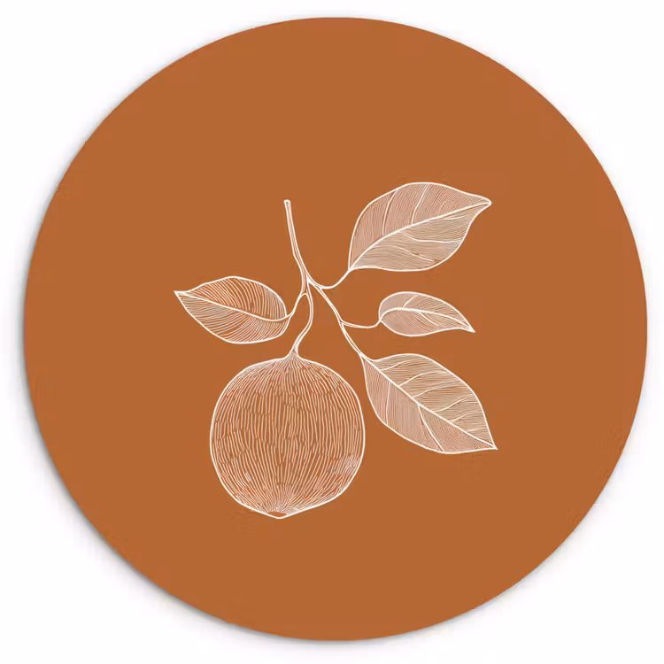 Wandcirkel - Glas - Sinaasappel - Getekend - Bladeren - Bruin — 1
