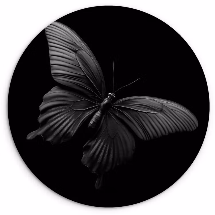 Wandcirkel - Glas - Vlinder - Zwart - Insect - Dieren — 1