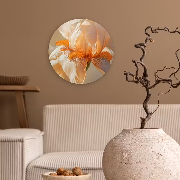 Wandcirkel - Glas - Close up - Oranje - Iris — 2