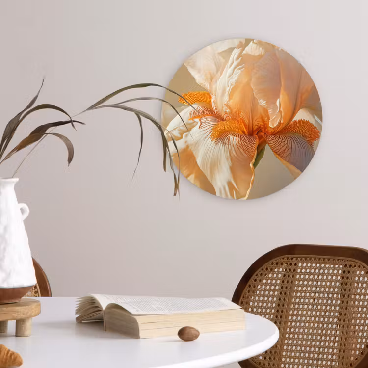 Wandcirkel - Glas - Close up - Oranje - Iris — 4