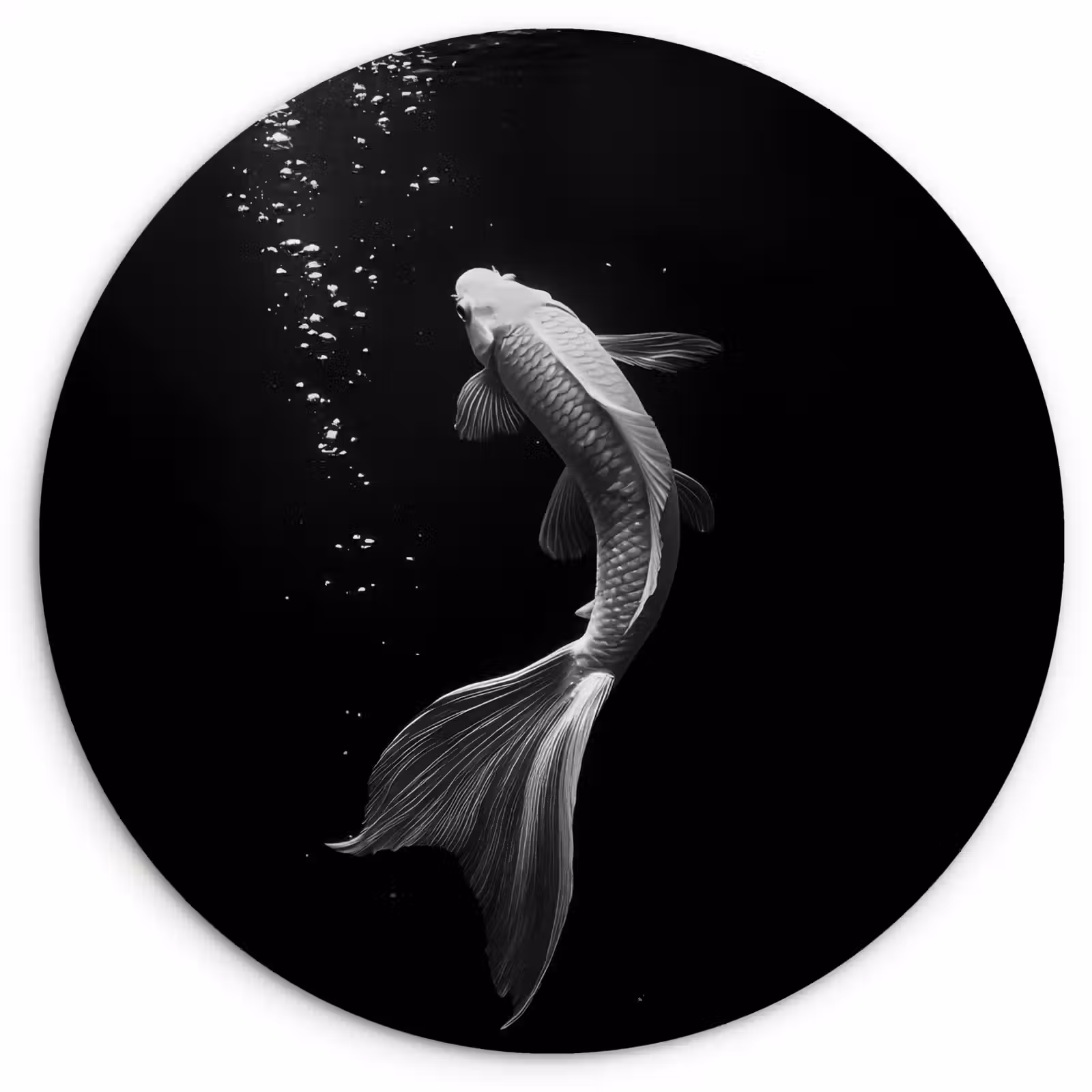 Wandcirkel - Glas - Koi - Vis - Wit - Zwart — 1