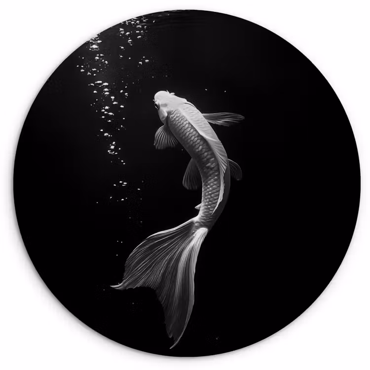 Wandcirkel - Glas - Koi - Vis - Wit - Zwart — 1
