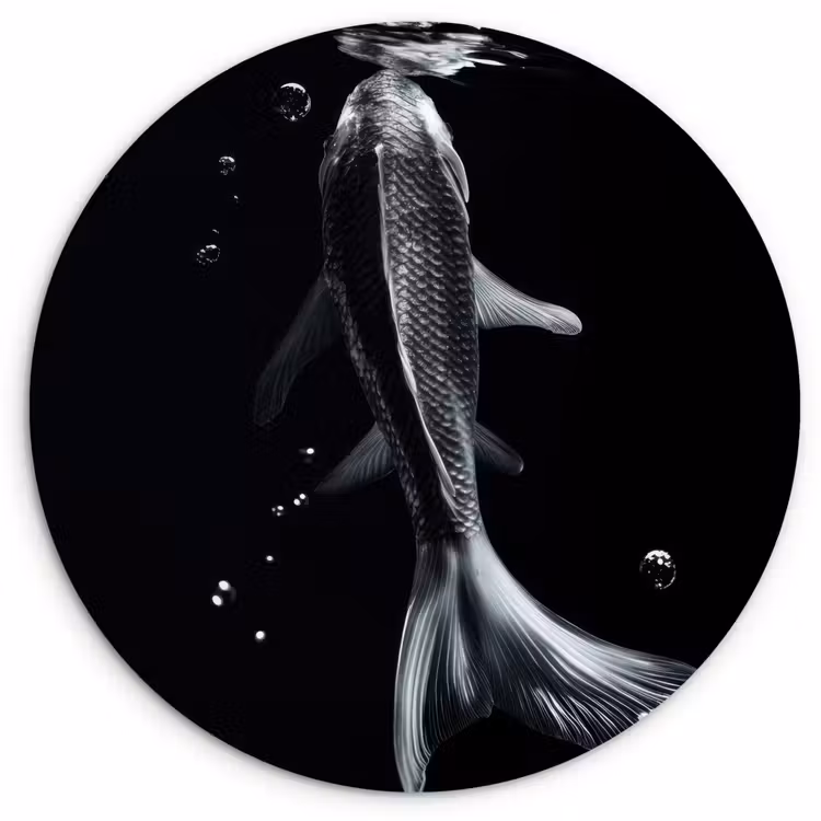 Wandcirkel - Glas - Koi - Vissen - Water - Zwart — 1