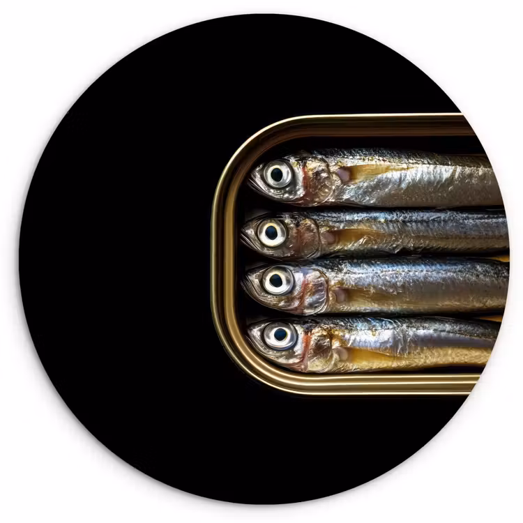Wandcirkel - Glas - Sardines - Blik - Zwart - Vissen — 1
