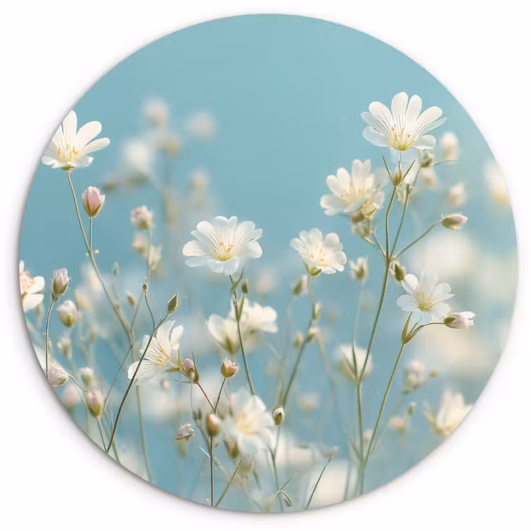 Wandcirkel - Glas - Stengels - Bloemen - Lucht - Wit — 1