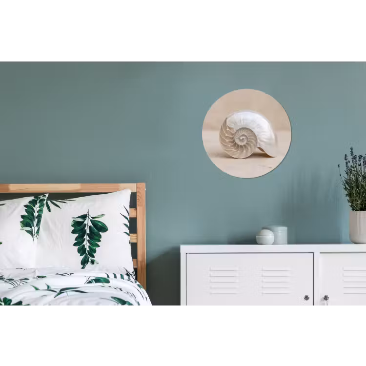 Wandcirkel - Aluminium - Schelp - Spiraal - Beige — 4