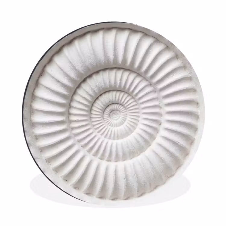 Wandcirkel - Aluminium - Schelp - Spiraal - Wit — 1