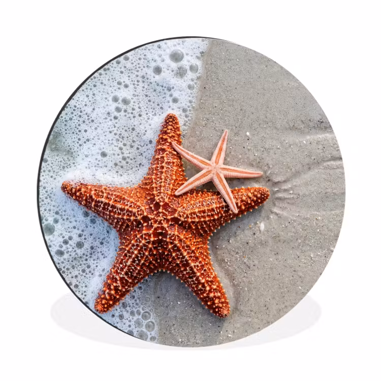 Wandcirkel - Aluminium - Zeester - Strand - Zee — 1