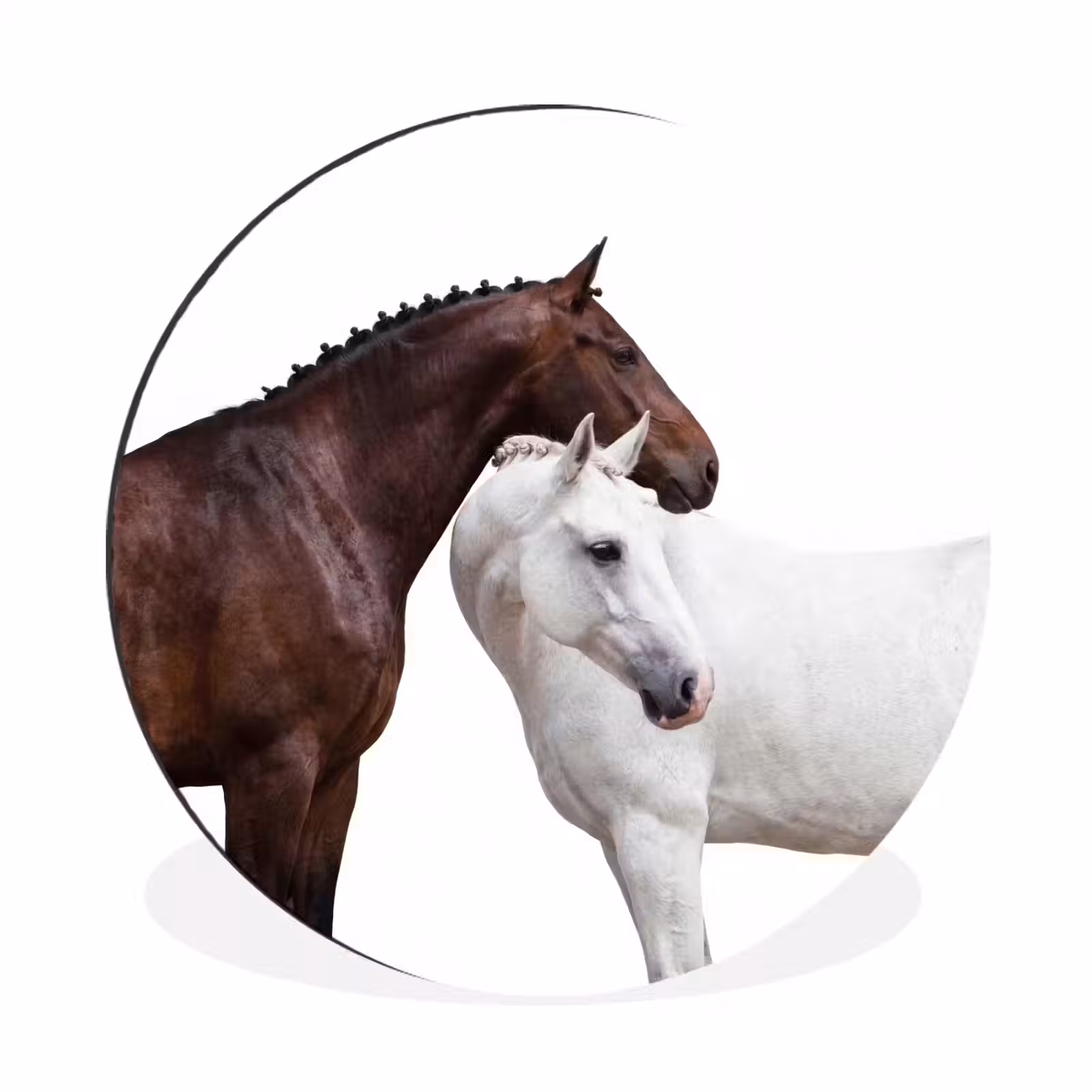 Wandcirkel - Aluminium - Paard - Modern - Balans — 1