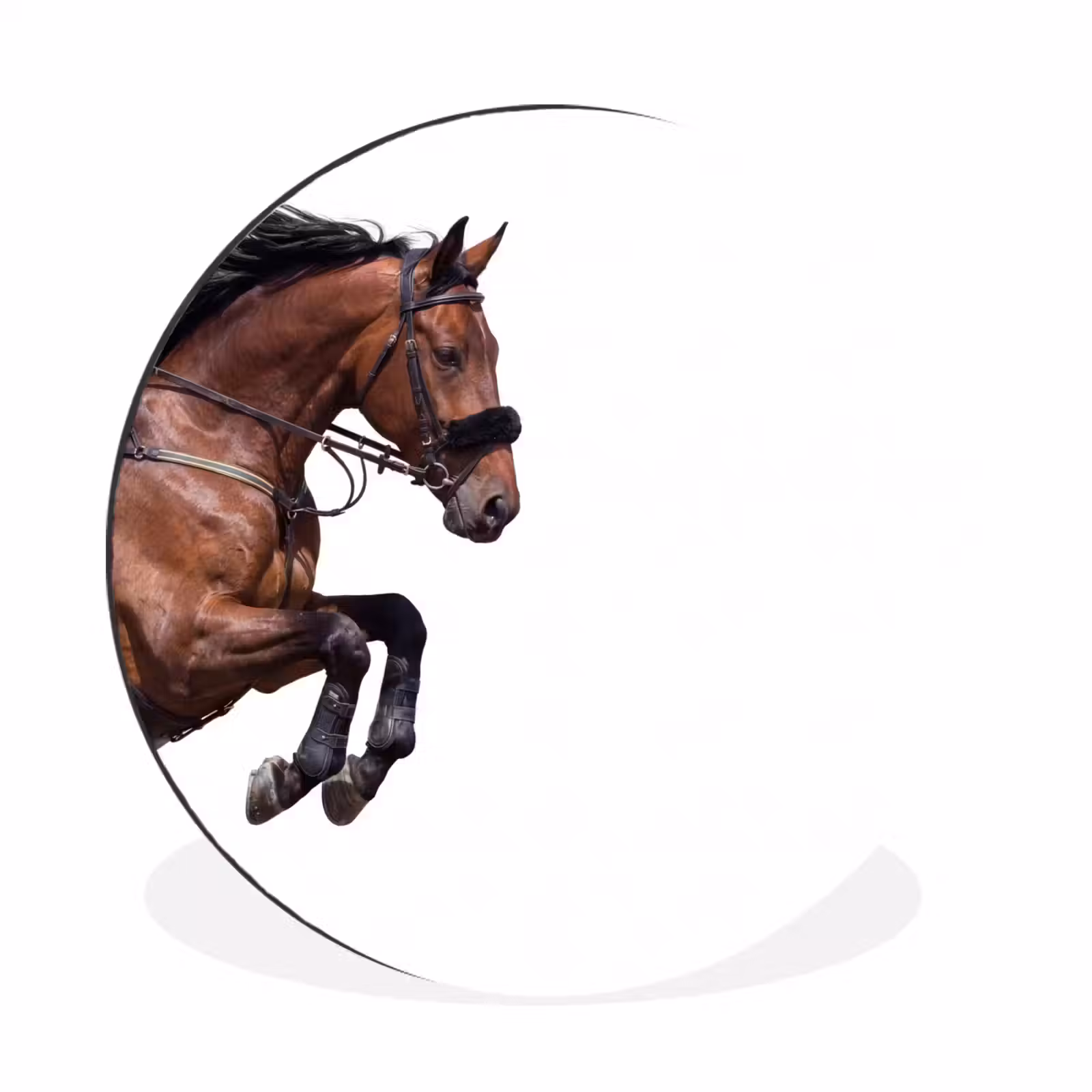 Wandcirkel - Aluminium - Paard - Springen - Modern — 1
