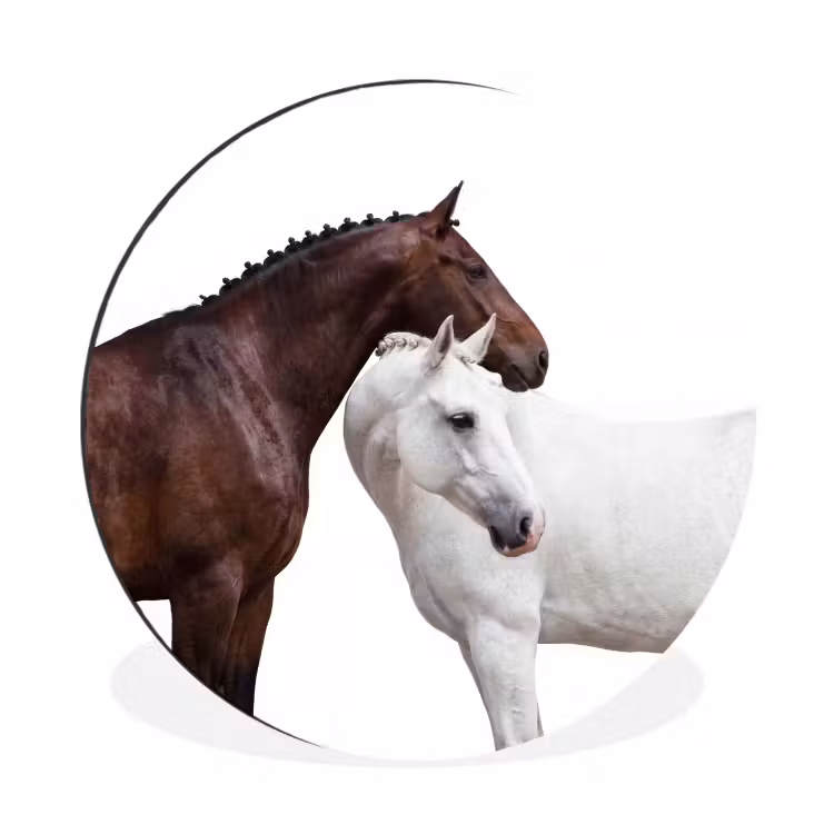 Wandcirkel - Aluminium - Paard - Modern - Balans — 1