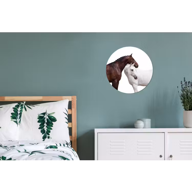Wandcirkel - Aluminium - Paard - Modern - Balans — 4