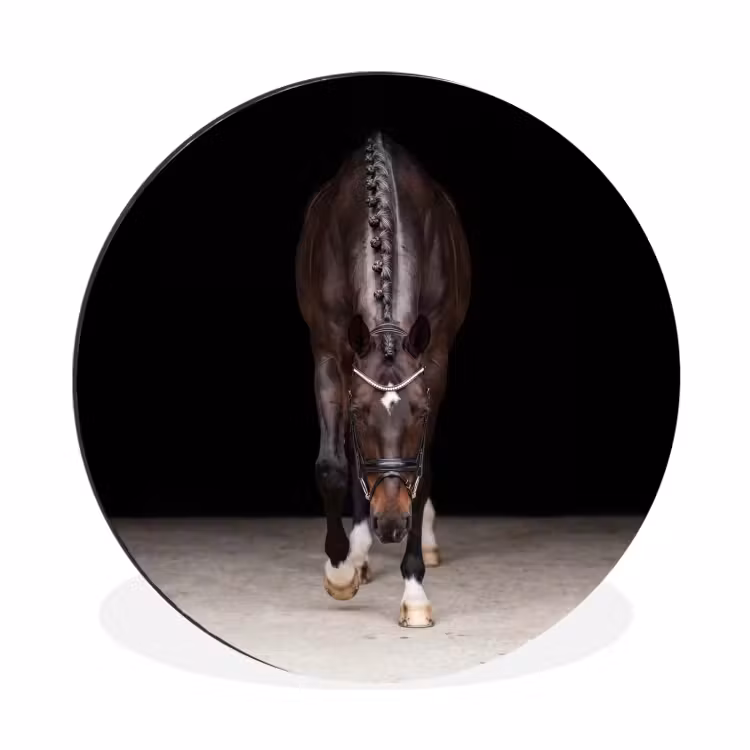 Wandcirkel - Aluminium - Paard - Modern - Portret — 1