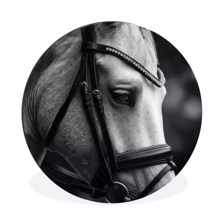 Wandcirkel - Aluminium - Paard - Schimmel - Portret — 1