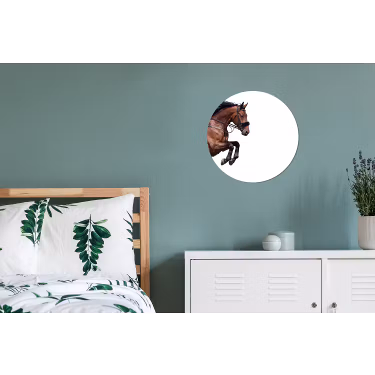 Wandcirkel - Aluminium - Paard - Springen - Modern — 4