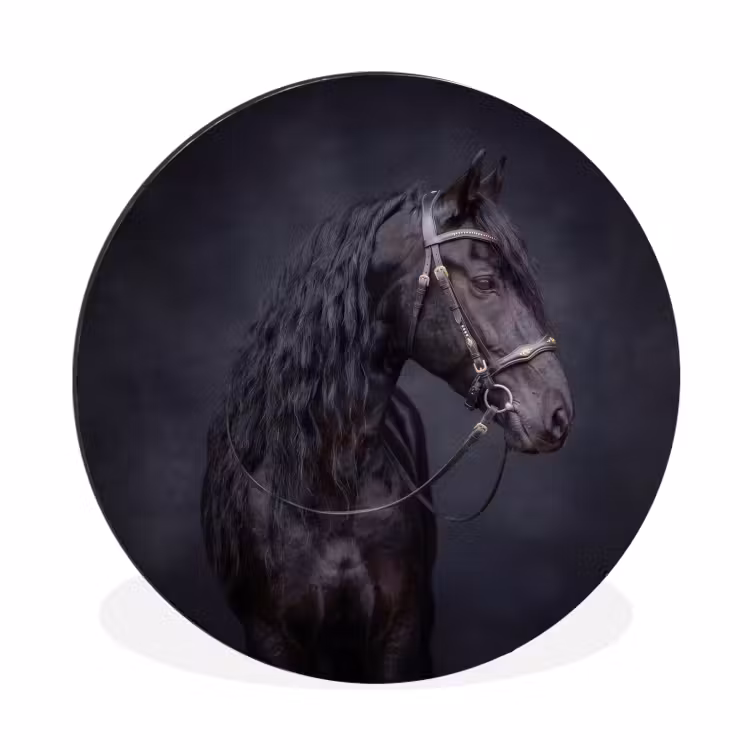 Wandcirkel - Aluminium - Portret - Paard - Donker — 1