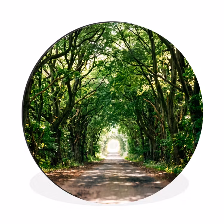 Wandcirkel - Aluminium - Weg - Bomen - Natuur - Groen — 1