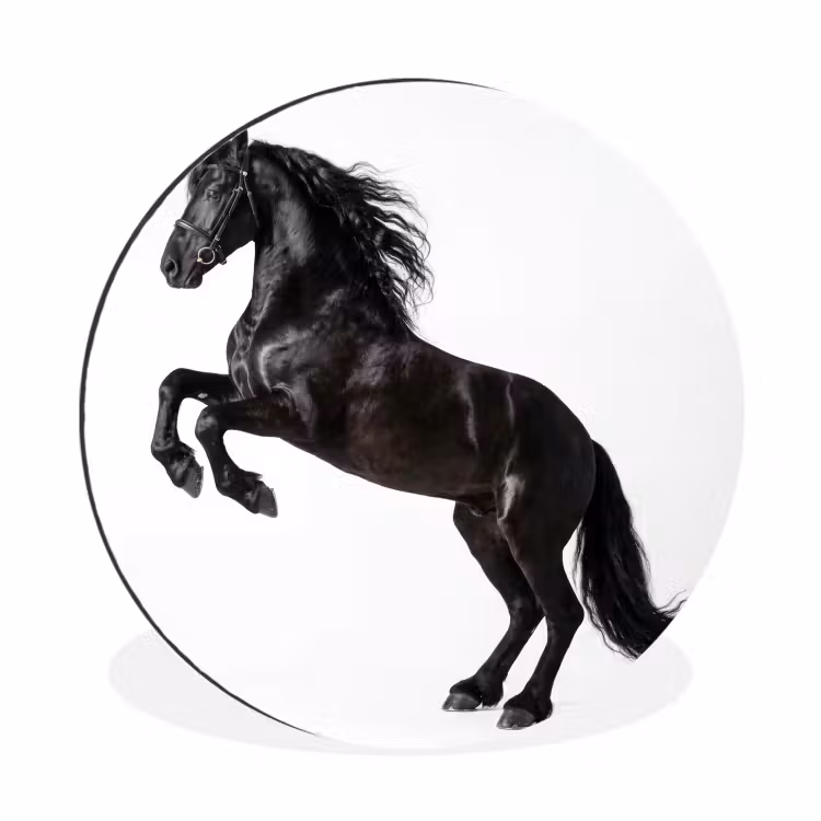 Wandcirkel - Aluminium - Zwart - Paard - Portret — 1