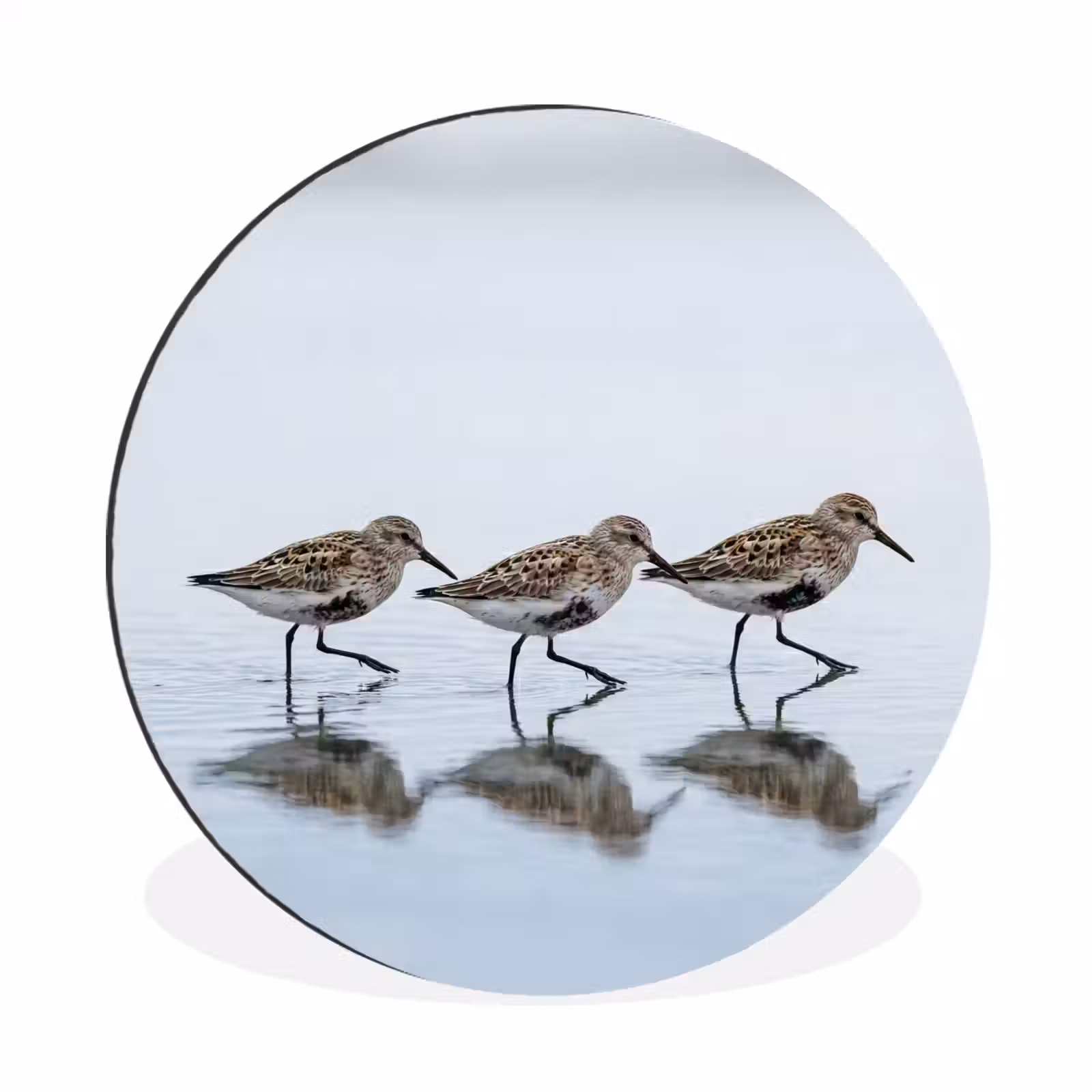 Wandcirkel - Aluminium - Vogels - Water - Grijs — 1