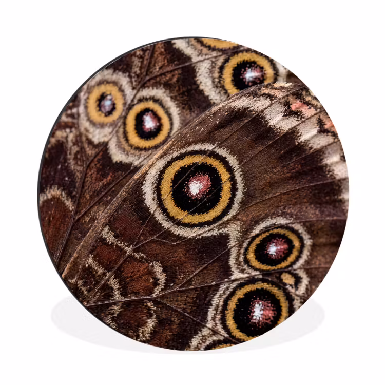 Wandcirkel - Aluminium - Vlinder - Vleugel - Abstract — 1