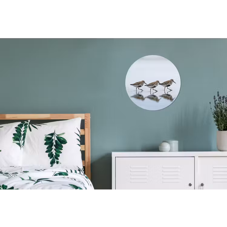 Wandcirkel - Aluminium - Vogels - Water - Grijs — 4
