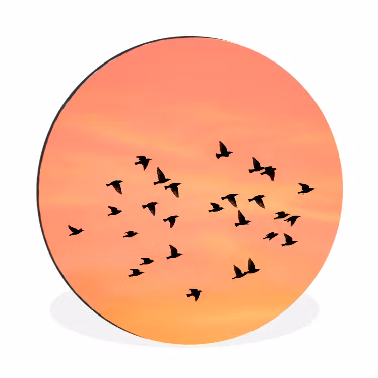 Wandcirkel - Aluminium - Zwerm - Vogels - Oranje — 1