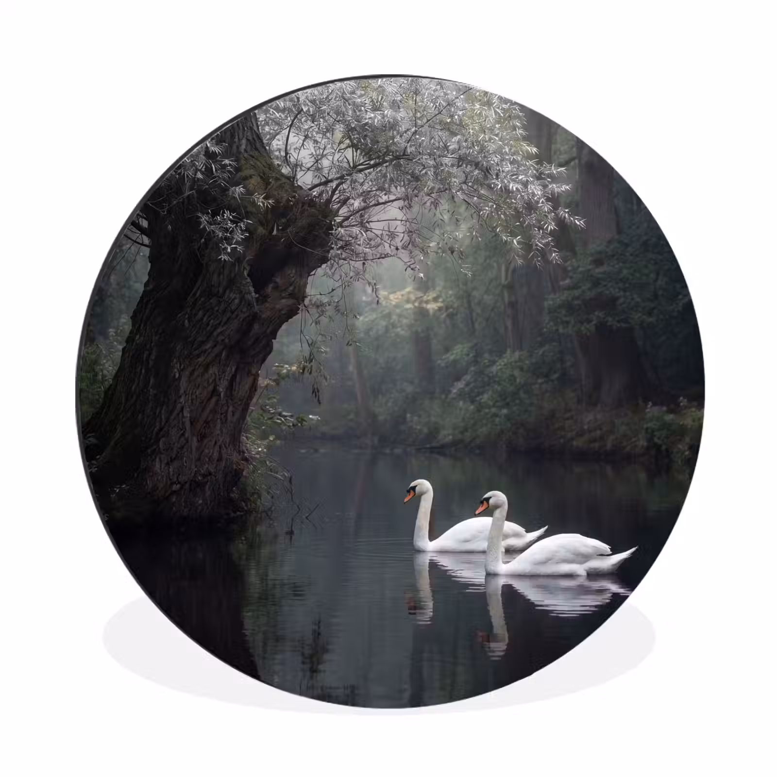 Wandcirkel - Aluminium - Zwanen - Rivier - Bos — 1