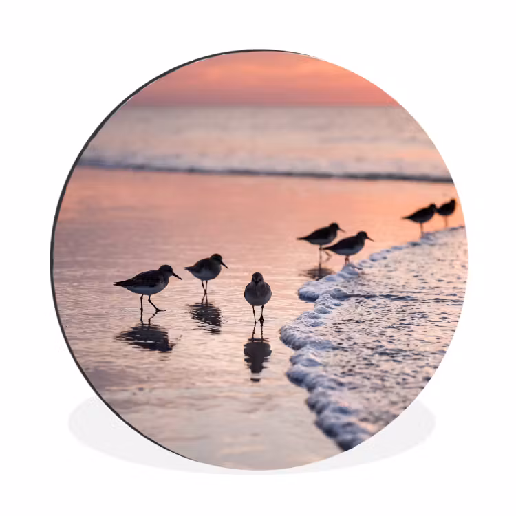 Wandcirkel - Aluminium - Meeuwen - Strand - Zee - Roze — 1
