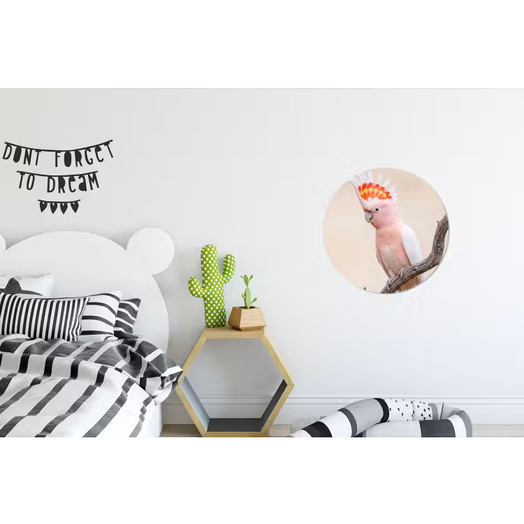 Wandcirkel - Aluminium - Papagaai - Tak - Roze — 5