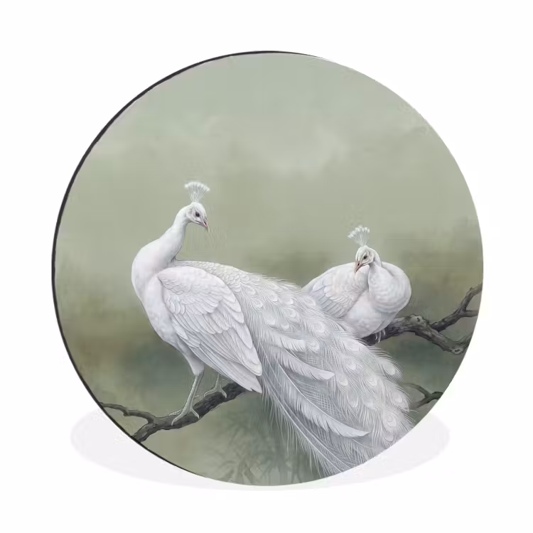 Wandcirkel - Aluminium - Pauwen - Wit - Natuur - Groen — 1