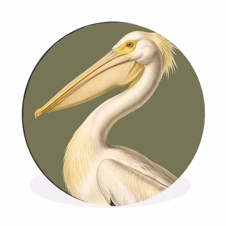 Wandcirkel - Aluminium - Pelikaan - Wit - Vogel - Klassiek - Natuur — 1