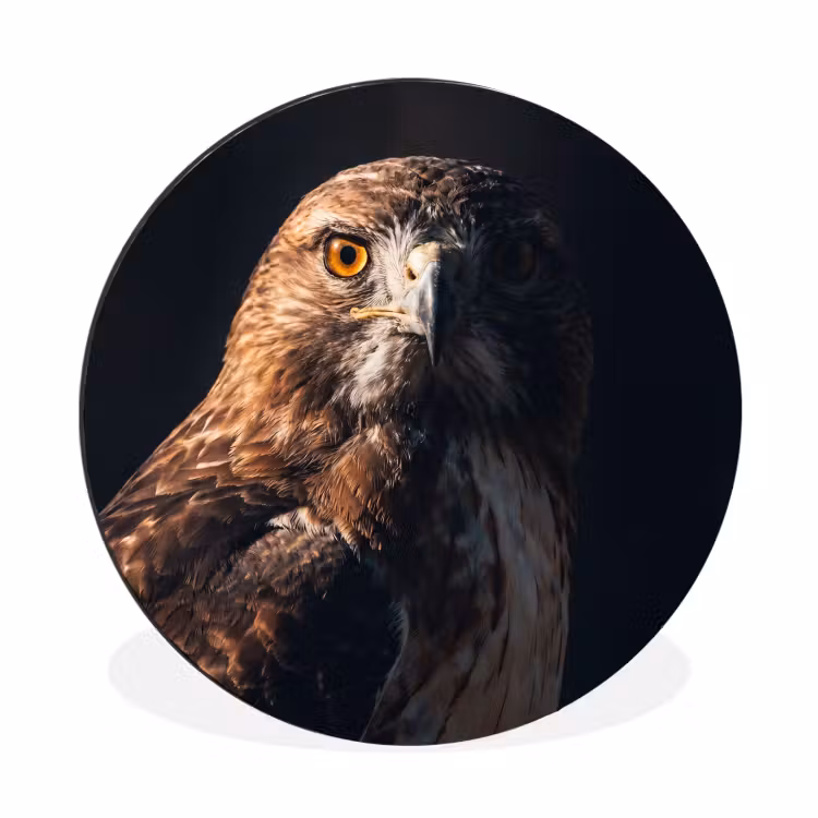 Wandcirkel - Aluminium - Roofvogel - Buizerd - Bruin — 1