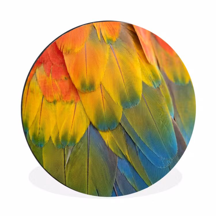 Wandcirkel - Aluminium - Veren - Ara - Kleurrijk — 1