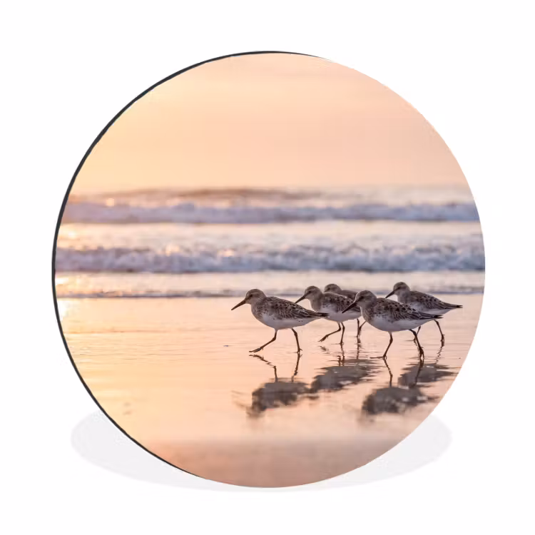 Wandcirkel - Aluminium - Zee - Vogels - Strand — 1