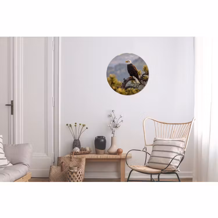 Wandcirkel - Aluminium - Zeearend - Boom - Bergen - Groen — 2