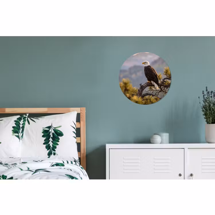 Wandcirkel - Aluminium - Zeearend - Boom - Bergen - Groen — 4