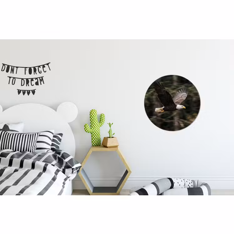 Wandcirkel - Aluminium - Zeearend - Vliegen - Bos - Natuur — 5
