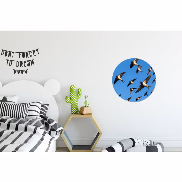 Wandcirkel - Aluminium - Zwaluwen - Vliegen - Blauw — 5